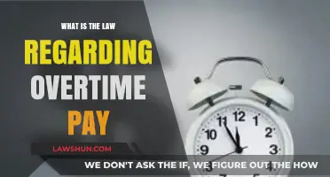 Understanding Overtime Pay Laws: Your Rights and Employer Obligations