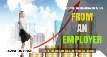 Understanding Employer Pay Raise Laws: Your Rights and Obligations Explained