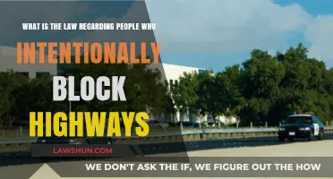 Blocking Highways: Legal Consequences for Intentional Road Obstruction Explained