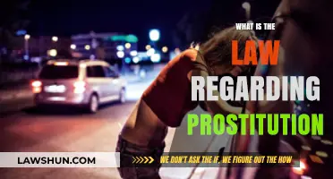 Understanding Prostitution Laws: Legal Boundaries and Global Perspectives Explained