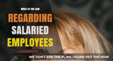 Understanding Salaried Employee Rights: Legal Insights and Protections Explained