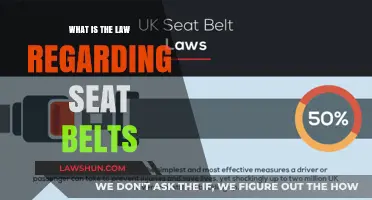 Understanding Seat Belt Laws: Legal Requirements and Safety Regulations Explained