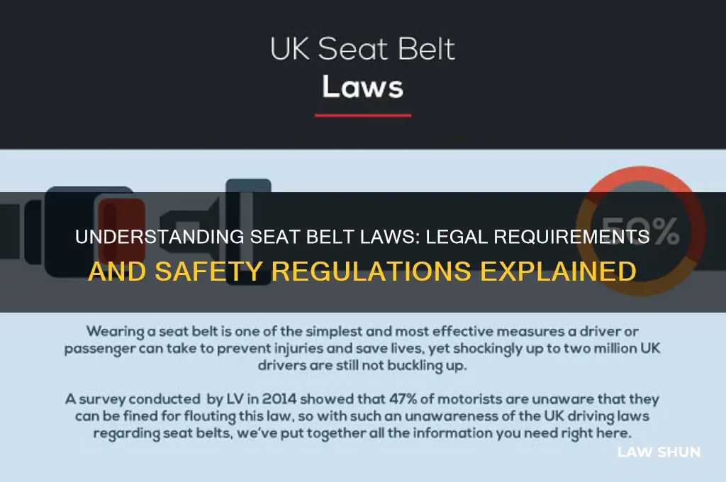 what is the law regarding seat belts