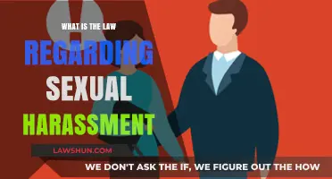 Understanding Sexual Harassment Laws: Rights, Protections, and Legal Recourse
