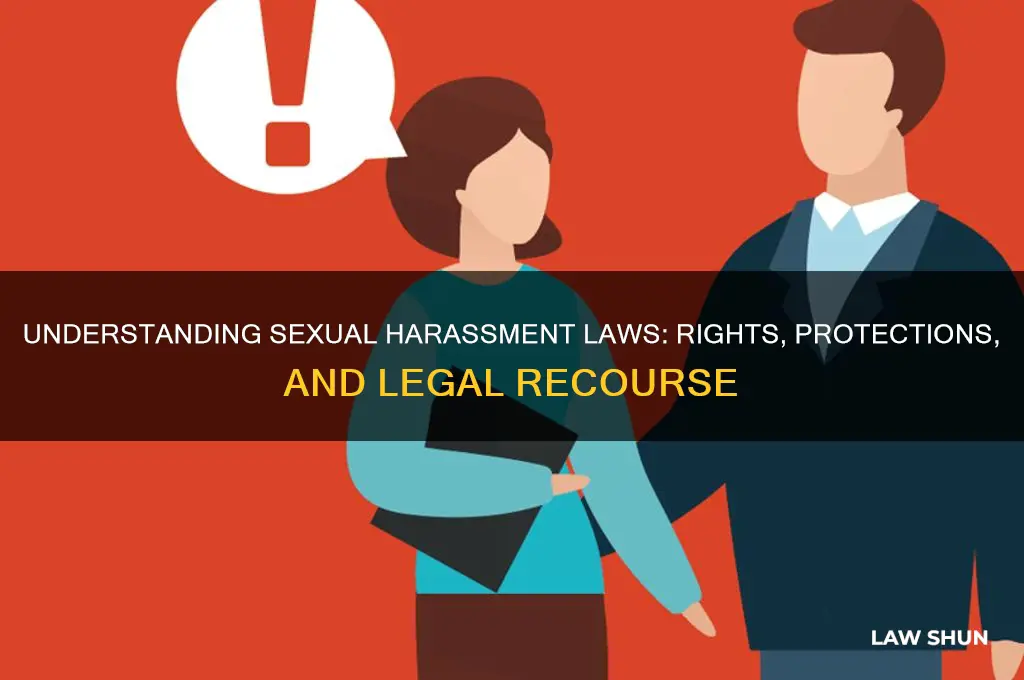 Understanding Sexual Harassment Laws: Rights, Protections, And Le…