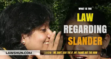 Understanding Slander Laws: Legal Protections and Consequences Explained