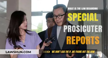 Understanding Special Prosecutor Reports: Legal Framework and Implications