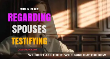 Spousal Testimony Laws: Understanding Privileges and Legal Boundaries