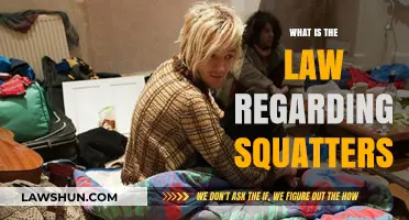 Squatters' Rights Explained: Understanding Legal Boundaries and Occupancy Laws