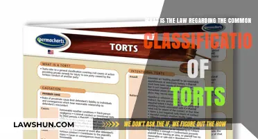 Understanding Tort Law: Common Classifications Explained