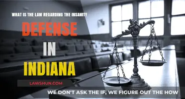 Indiana's Insanity Defense: Legal Criteria and Court Application Explained
