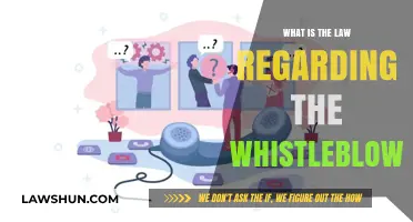 Understanding Whistleblower Protection Laws: Rights, Responsibilities, and Legal Safeguards