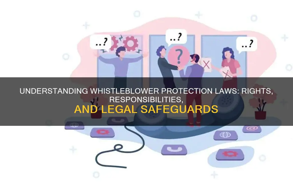 what is the law regarding the whistleblower