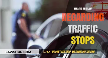 Understanding Your Rights: Traffic Stop Laws and Legal Procedures