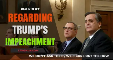 Understanding Trump's Impeachment: Legal Framework and Constitutional Implications Explained