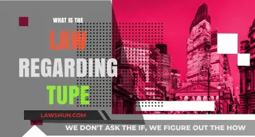 Understanding TUPE: Legal Insights on Transfer of Undertakings Regulations