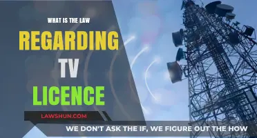 Understanding TV Licence Laws: Your Rights and Responsibilities Explained