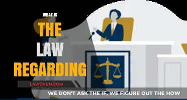 Understanding the Legal Framework: What the Law Says About