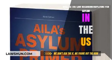 Understanding US Asylum Laws: Application Process and Legal Requirements