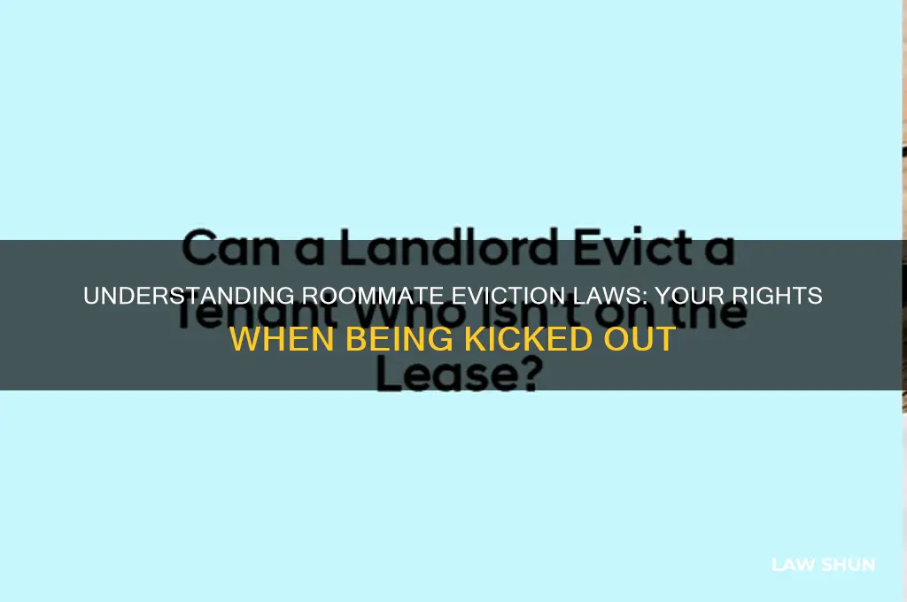 what is the law requring roomate