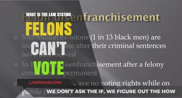 Felons' Voting Rights: Understanding the Legal Restrictions