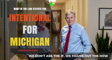 Understanding Michigan's Intentional Tort Law Statute: Key Provisions Explained