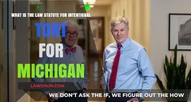 Understanding Michigan's Intentional Tort Law Statute: Key Provisions Explained