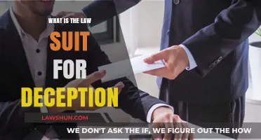 Understanding Legal Consequences: Lawsuits for Deception Explained