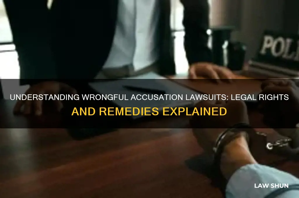 what is the law suit for wrongful accuse