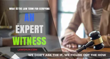 Certifying Expert Witnesses: Understanding the Legal Term and Process