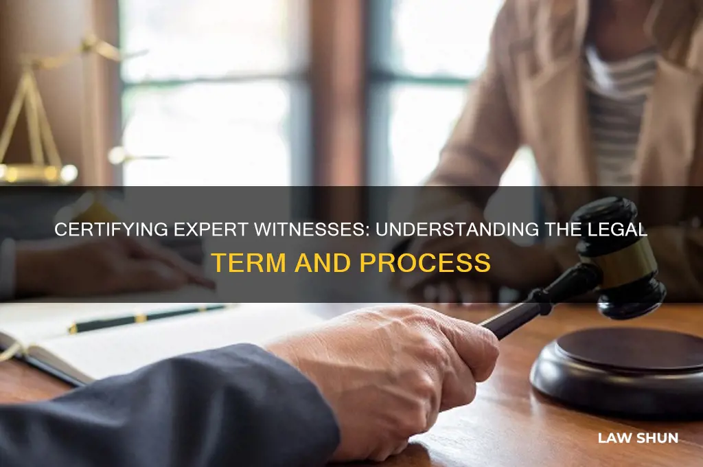 what is the law term for cerifying an expert witness