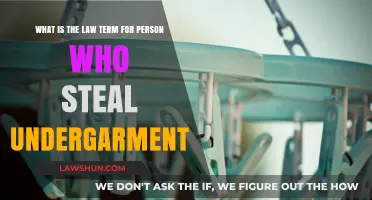 Legal Term for Stealing Undergarments: Understanding the Offense and Penalties