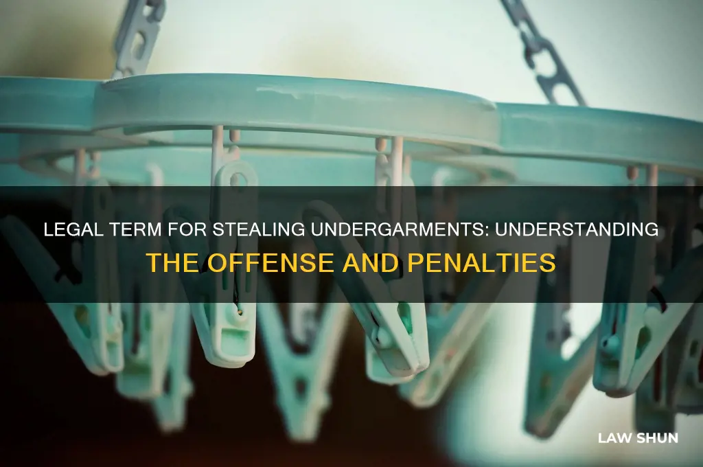 what is the law term for person who steal undergarment