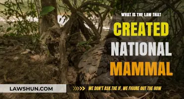 The National Mammal: Legal Recognition