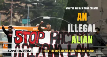 Understanding Illegal Alien Status: Law and Consequences