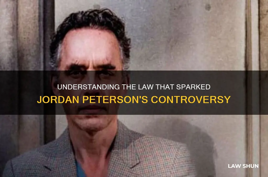 what is the law that got jordan peterson in trouble