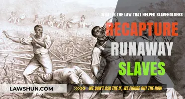 Fugitive Slave Act: The Law That Empowered Slaveholders to Recapture Runaway Slaves