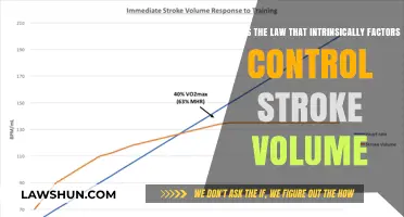 Understanding the Intrinsic Law Governing Stroke Volume Control