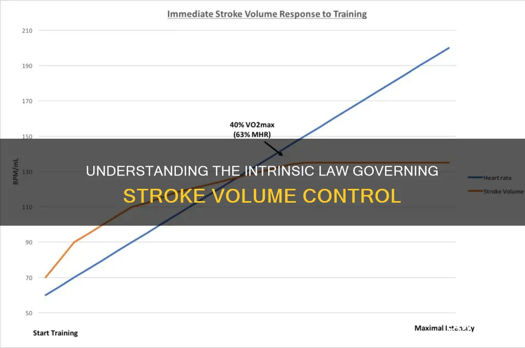 what is the law that intrinsically factors control stroke volume