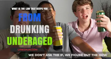 Understanding the Legal Consequences of Underage Drinking: A Comprehensive Guide