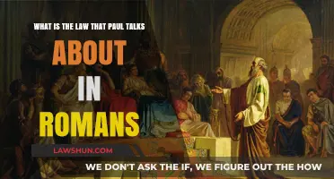 Understanding Paul's Law in Romans: Exploring the Heart of Grace