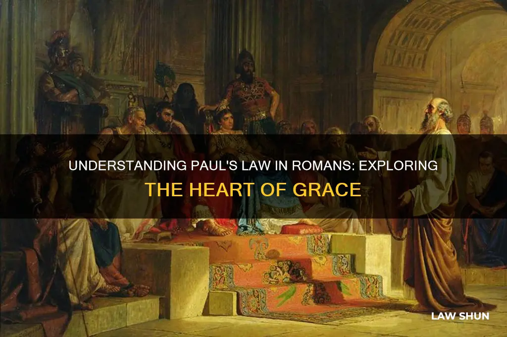 what is the law that paul talks about in romans