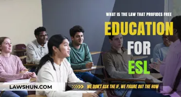 Understanding the Law Ensuring Free ESL Education for All Learners