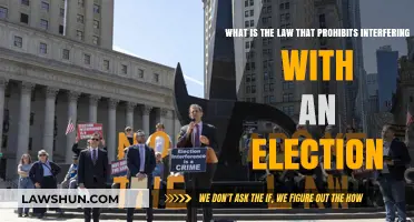 Understanding the Law Against Election Interference: A Comprehensive Guide
