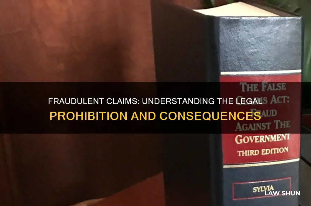 what is the law that prohibits submitting a fraudulent claim