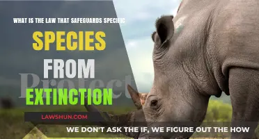 Protecting Endangered Species: Understanding the Law Against Extinction