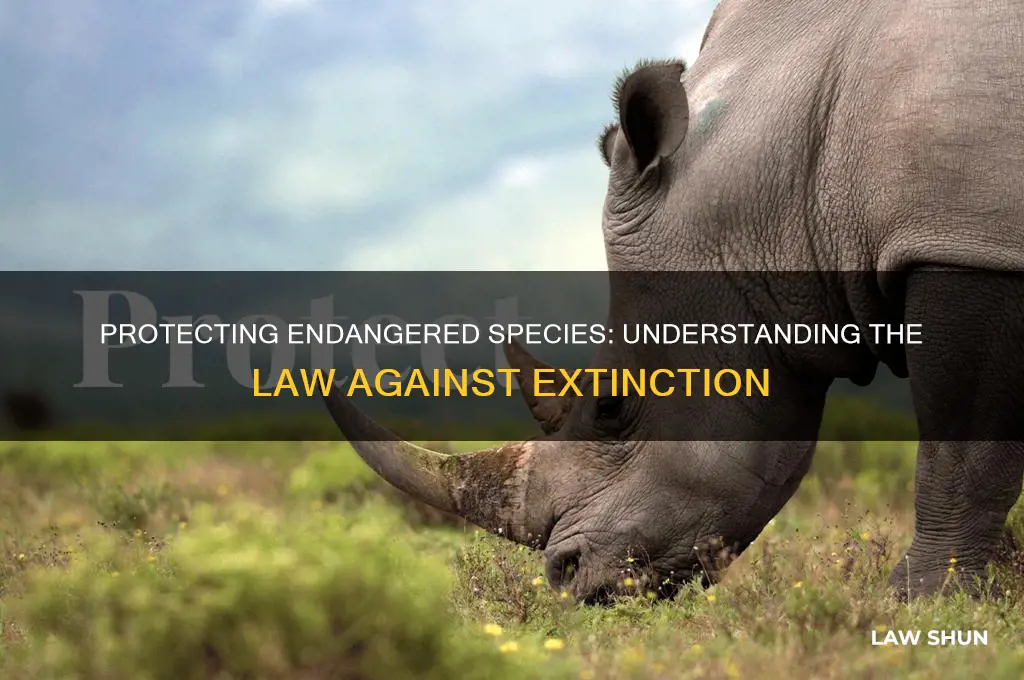what is the law that safeguards specific species from extinction