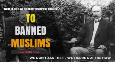 Theodore Roosevelt's Anti-Muslim Law: A Historical Perspective