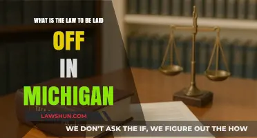 Understanding Michigan's Layoff Laws: Rights and Protections for Employees