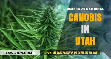 Utah's Medical Cannabis Law: Understanding Legal Access and Regulations